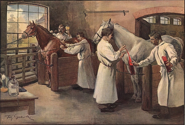 Fritz Gehrke (1855-1916): Die Gewinnung des Diphtherieserums aus Pferdeblut im Behringwerk zu Marburg